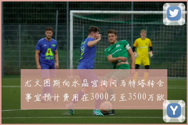 尤文图斯向水晶宫询问马特塔转会事宜预计费用在3000万至3500万欧元之间