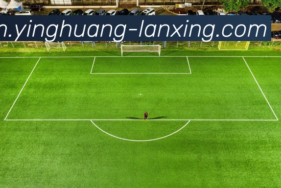 奖项图1